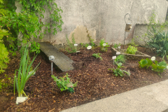 Z-Haus-Kraeutergarten