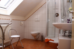 Badezimmer-mit-Dusche