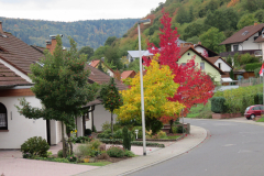 In-der-Fasanenallee