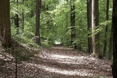 Pfaffenbrunnen004
