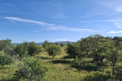 Talblick