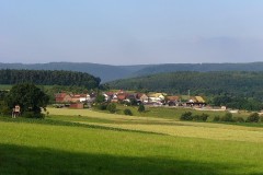 Weiler005