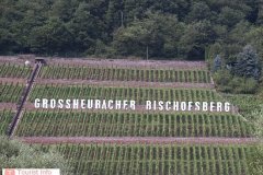 Weinbau001